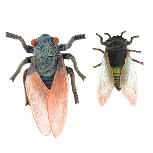 KONTONTY 2St Wilde Insektenspielzeuge simuliertes Insektenspielzeug Miniaturspielzeug Kinder Spielzeug Insekten Naturgetreue Insektenmodelle Tiere Statue Zikaden Modellspielzeug Modellieren von KONTONTY
