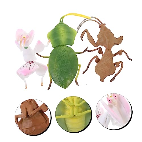 KONTONTY 3 Stück Simuliertes Gottesanbeterin Modell Teiliges Kunststoff Insekten Pädagogisch Realistische Haltung Farbenfrohes Design für Lernspielzeug und Dekoration von KONTONTY