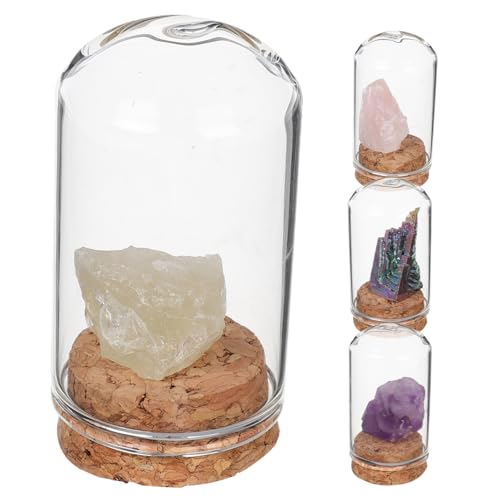 KONTONTY 4 Stück Kristallmineralproben Terrarium Mit Glaskuppel Glasglocke Kleine Glaskuppel Glashaube Halloween-glaskuppel Mini-Cloche Ausstellungskuppel Kleine Glocke KONTONTY 4 Stück Kristallmineralproben Terrarium Mit Glaskuppel Glasglocke Kleine Glaskuppel Glashaube Halloween-glaskuppel Mini-Cloche Ausstellungskuppel Kleine Glocke von KONTONTY