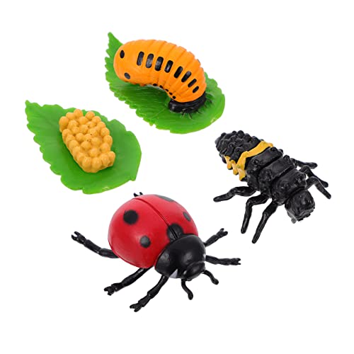 KONTONTY 4Stücke Teiliges Lebenszyklus Spielzeugset Kreatives Lernspielzeug Für des Wachstumszyklus Von Insekten Desktop Dekoration Und Lehrmittel von KONTONTY