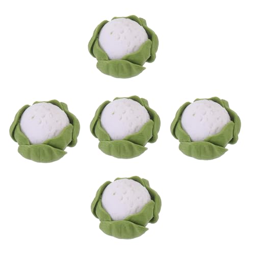 KONTONTY 5 Stück Teiliges Mini Broccolo Modellset Realistische Dekoration für Puppenhäuser Kinderaccessoires aus Hochwertigem Resin für Kreative Küchen Szenarien KONTONTY 5 Stück Teiliges Mini Broccolo Modellset Realistische Dekoration für Puppenhäuser Kinderaccessoires aus Hochwertigem Resin für Kreative Küchen Szenarien von KONTONTY