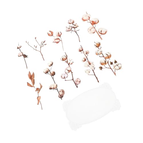 KONTONTY Themen-Pflanzenaufkleber für - 11 Blätter in jeder Tüte 5 Beutel Packung PET-Aufkleberdruck KONTONTY Themen-Pflanzenaufkleber für - 11 Blätter in jeder Tüte 5 Beutel Packung PET-Aufkleberdruck von KONTONTY