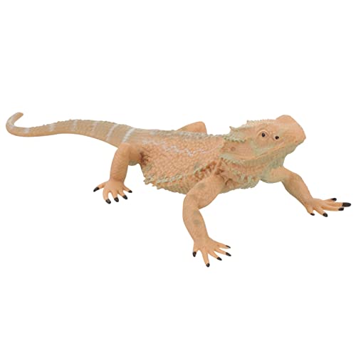 KONTONTY Eidechsenmodell Spielzeug Gefälschtes Eidechsenspielzeug Bartagamen-Spielzeug Eidechsenstatue Aus Kunststoff Reptilienfigur Spielzeug Gecko-Figuren Ornamente Kind Kriechen Plastik KONTONTY Eidechsenmodell Spielzeug Gefälschtes Eidechsenspielzeug Bartagamen-Spielzeug Eidechsenstatue Aus Kunststoff Reptilienfigur Spielzeug Gecko-Figuren Ornamente Kind Kriechen Plastik von KONTONTY