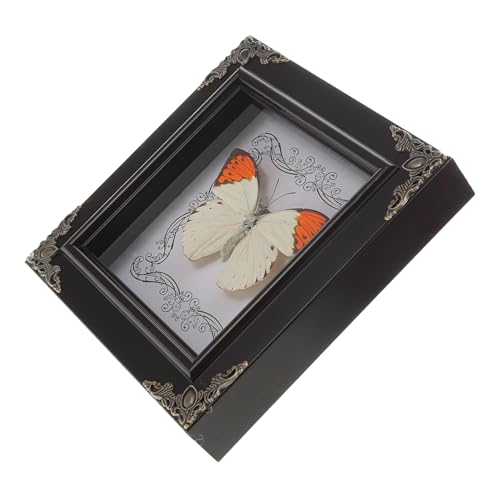 KONTONTY Fotorahmen Mit Schmetterlingsmuster Groß Anzeige Gerahmter Schmetterling Schmetterlinge Schmetterling Bilderrahmen Schmetterling Dekorationen Acryl KONTONTY Fotorahmen Mit Schmetterlingsmuster Groß Anzeige Gerahmter Schmetterling Schmetterlinge Schmetterling Bilderrahmen Schmetterling Dekorationen Acryl von KONTONTY