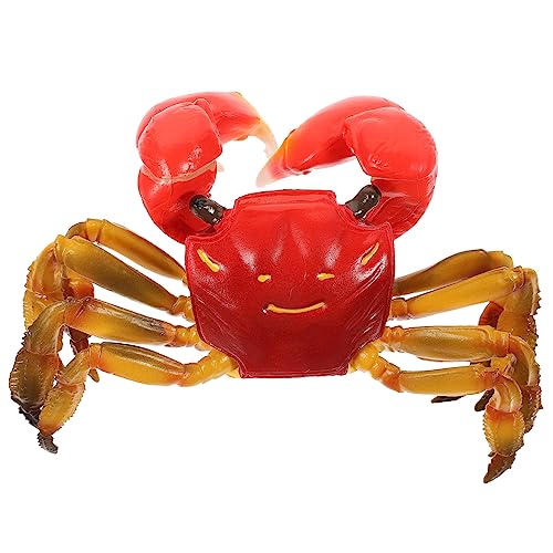 KONTONTY Krabbenmodell Crab Toy crabtoy Lernspielzeug Krabbenmodell Meerestier Lernspielzeug für Kleinkinder Parteimodell kreatives Kinderspielzeug Plastik KONTONTY Krabbenmodell Crab Toy crabtoy Lernspielzeug Krabbenmodell Meerestier Lernspielzeug für Kleinkinder Parteimodell kreatives Kinderspielzeug Plastik von KONTONTY