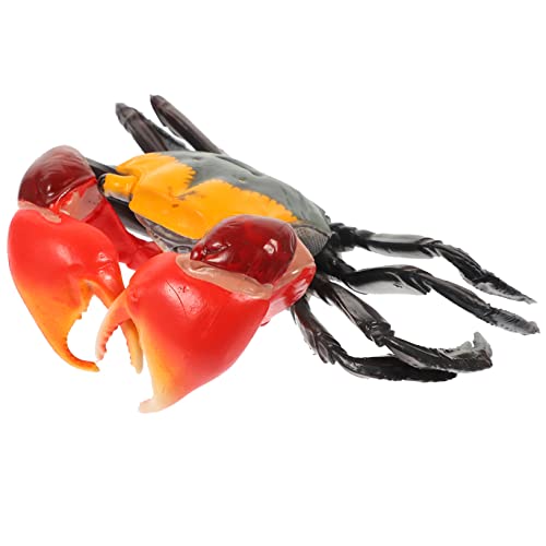 KONTONTY Krabbenmodell jucarii pentru copii hühner Lernspielzeug für Kleinkinder zabawki stymulujące rozwój Crab Toy Lerntiermodell Bildungssimulation Krabbe Plastik KONTONTY Krabbenmodell jucarii pentru copii hühner Lernspielzeug für Kleinkinder zabawki stymulujące rozwój Crab Toy Lerntiermodell Bildungssimulation Krabbe Plastik von KONTONTY