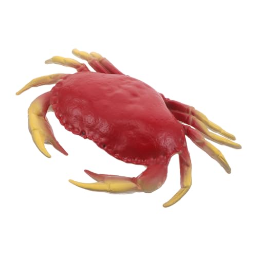 KONTONTY Lebensechte Krabbenfigur Kunststoff Modell Realistische Meeres-tierdekoration für Sammler Bildung und Strandpartys Handliches für Lern Dekozwecke KONTONTY Lebensechte Krabbenfigur Kunststoff Modell Realistische Meeres-tierdekoration für Sammler Bildung und Strandpartys Handliches für Lern Dekozwecke von KONTONTY