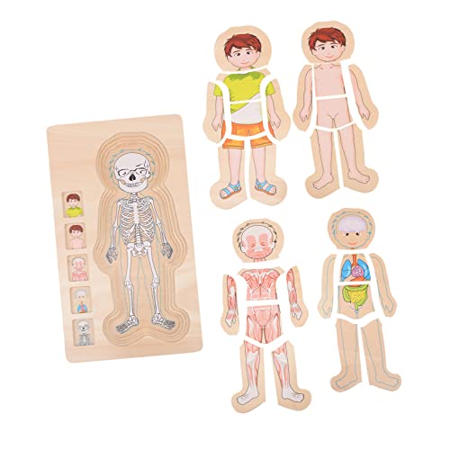 KONTONTY Mehrschichtiges Holzpuzzle Lernspielzeug Intelligenzspiel Puzzle Körperstruktur Holzspielzeug für Jungen und Mädchen Vorstellungskraft und Feinmotorik KONTONTY Mehrschichtiges Holzpuzzle Lernspielzeug Intelligenzspiel Puzzle Körperstruktur Holzspielzeug für Jungen und Mädchen Vorstellungskraft und Feinmotorik von KONTONTY