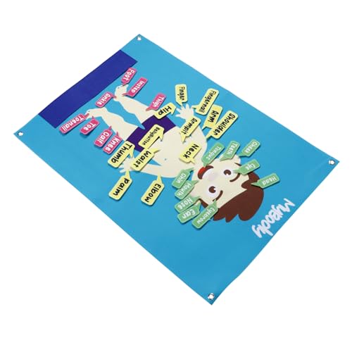 KONTONTY Menschliche Körperstrukturplatte menschliches Körpermodell für Interaktives Bodyboard für Filztafel für Klassenzimmer Filzwandaktivitäten für Kleinkinder gefühlt KONTONTY Menschliche Körperstrukturplatte menschliches Körpermodell für Interaktives Bodyboard für Filztafel für Klassenzimmer Filzwandaktivitäten für Kleinkinder gefühlt von KONTONTY