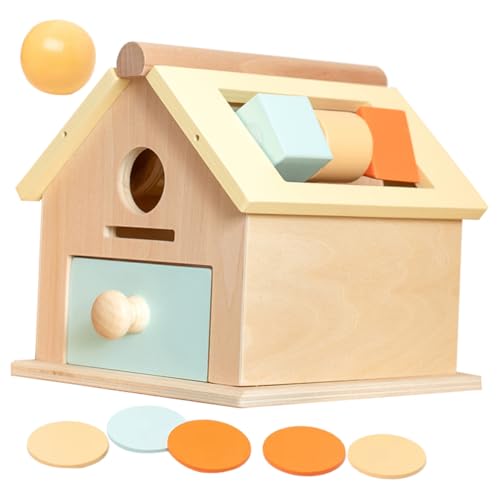 KONTONTY Montessori Holzspielzeug Jahre Motorikspielzeug Ballwurf Münzbox Buntes Frühpädagogisches Lernspielzeug für Kleinkinder Robust und Vielseitig Fördert Kreativität und Feinmotorik von KONTONTY