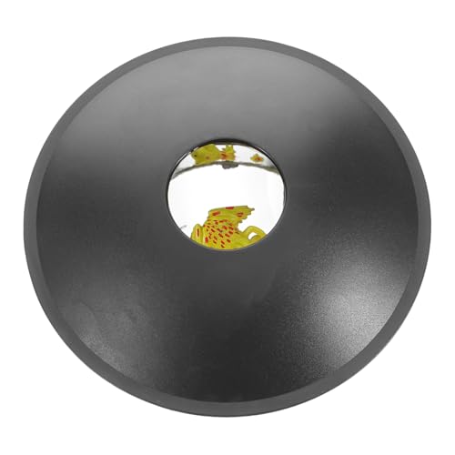 KONTONTY 3D Optische Illusion Spielzeug Parabolspiegel Für Kinder Bildprojektion Visuelle Täuschung Plastikfrosch Spiegel Illusionen Lernspielzeug von KONTONTY