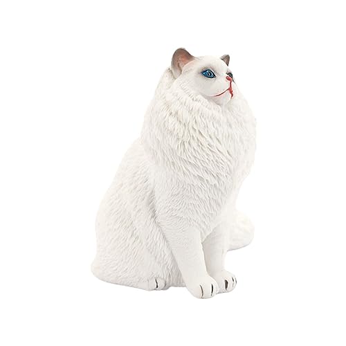 KONTONTY Katzenmodell Aus Kunststoff Realistisches Spielzeug Für Dekorationsobjekt Lernspielzeug Für Kognitive Entwicklung Robuste Und Geruchsneutrale Katze Für Drinnen Und Draußen von KONTONTY