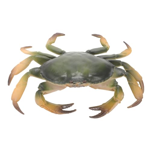 KONTONTY Realistisches Krabbenmodell Aquarium Deko Simulation Meeresbewohner Figur für Kreative Raumgestaltung und Spielerisches Lernen KONTONTY Realistisches Krabbenmodell Aquarium Deko Simulation Meeresbewohner Figur für Kreative Raumgestaltung und Spielerisches Lernen von KONTONTY
