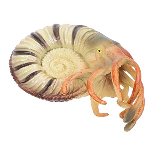 KONTONTY Realistisches Nautilus Modell aus Langlebigem Detailreiche Meereslebewesen Figur Edukatives Aquarium Deko Ornament Robustes Meerestier KONTONTY Realistisches Nautilus Modell aus Langlebigem Detailreiche Meereslebewesen Figur Edukatives Aquarium Deko Ornament Robustes Meerestier von KONTONTY