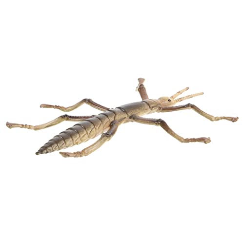 KONTONTY Realistisches Teiliges Stabwanzen Modell Kunststoffspielzeug Pädagogisch Lustig Lernspielzeug Insekten Nachbildung für Jungen Mädchen Spiel Zubehör von KONTONTY