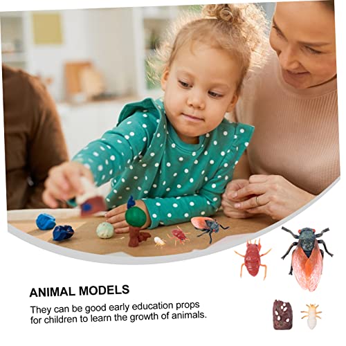 KONTONTY Realistisches Tiermodell Set aus Hochwertigem Kunststoff Geruchlos und Langlebig Multipurpose Lernspielzeug für Lebenszyklus als Garten und Wohnraumdekoration Pädagogisch von KONTONTY