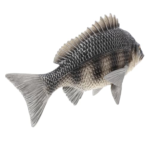 KONTONTY Simulation Afrikanischer Karausche Meerestiermodell Fisch Figur Lebensechtes Fischmodell Realistisches Fischmodell Simulation Fischverzierung Tiermodell Plastik von KONTONTY