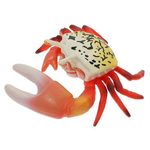KONTONTY Simulation Krabbenmodell für Realistisches Meerestier Dekorationsobjekt für Aquarien Terrarien und Kreative KONTONTY Simulation Krabbenmodell für Realistisches Meerestier Dekorationsobjekt für Aquarien Terrarien und Kreative von KONTONTY