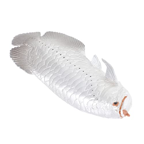KONTONTY Simuliertes Arowana für kinderspielzeug Silve für den Strand tierisches künstliches Süßwasserfisch- Kindersimulationsspielzeug Plastik von KONTONTY