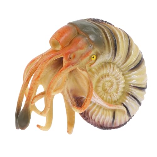 KONTONTY Simuliertes Nautilus Modell aus Strapazierfähigem PVC Realistisches Meeres tierspielzeug für Dekoratives Lernspielzeug für Aquarium Kinderzimmer und Kreatives von KONTONTY