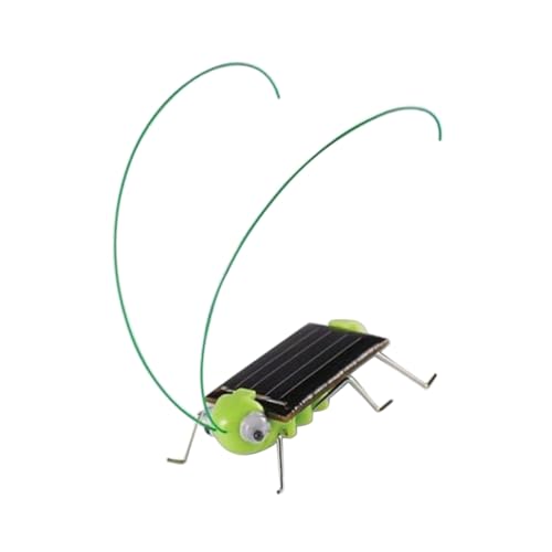 KONTONTY Insektenspielzeug Solarpanel-Spielzeug Spielzeuge Solarspielzeug für Kinder Lernspielzeug solarbetriebenes Spielzeug Insekt Solarplatten Student Pädagogisches Insektenspielzeug von KONTONTY