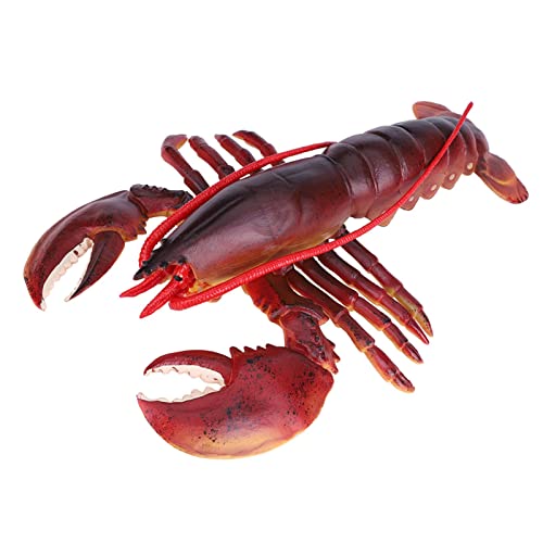 KOSDFOGE Soft Plastic Simulation Lobster Model Seafood Decoration Kid Toy for Seafood Restaurant Stage Performance (23cm) von KOSDFOGE