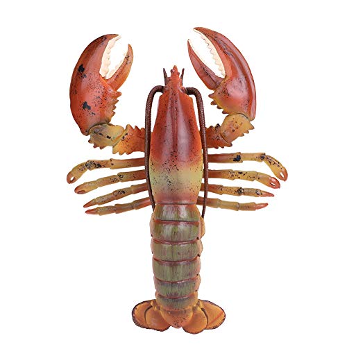 KOSDFOGE Soft Plastic Simulation Lobster Model Seafood Decoration Kid Toy for Seafood Restaurant Stage Performance (23cm) von KOSDFOGE