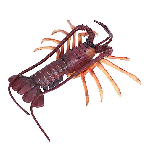 KOSDFOGE Soft Plastic Simulation Lobster Model Seafood Decoration Kid Toy for Seafood Restaurant Stage Performance (29cm) von KOSDFOGE