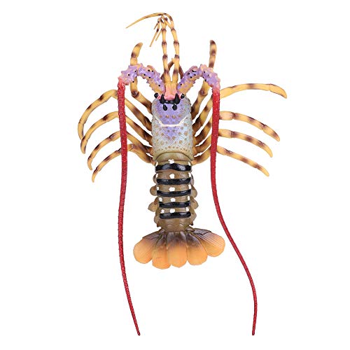 KOSDFOGE Soft Plastic Simulation Lobster Model Seafood Decoration Kid Toy for Seafood Restaurant Stage Performance (30cm) von KOSDFOGE