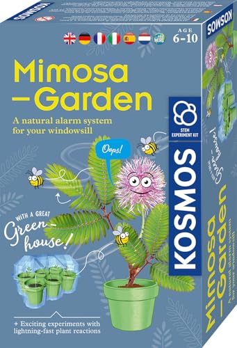 Kosmos 617509 Mimosen-Garten Pflanzen züchten und erforschen Komplett-Set mit Mini-Gewächshaus Experimentier-Set für Kinder ab 6-10 Jahre Mitbringexperiment von Kosmos