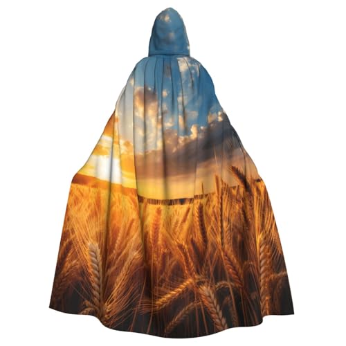 Countryside Farm Unisex Erwachsene Kapuzenumhang Ritter Kostüm Schwarz Tunika Umhang Mittelalter Robe Halloween Zauberer Cosplay Hexe Countryside Farm Unisex Erwachsene Kapuzenumhang Ritter Kostüm Schwarz Tunika Umhang Mittelalter Robe Halloween Zauberer Cosplay Hexe von KOUUIP