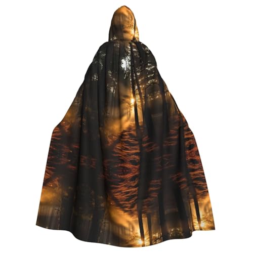 KOUUIP Kapuzenumhang für Erwachsene, Morgenwüste, Sonnenlicht, Druck mit Hexenumhang für Halloween, Weihnachten, Partyzubehör KOUUIP Kapuzenumhang für Erwachsene, Morgenwüste, Sonnenlicht, Druck mit Hexenumhang für Halloween, Weihnachten, Partyzubehör von KOUUIP