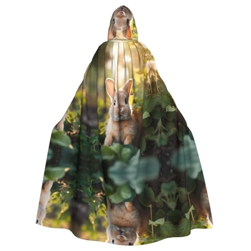 KOUUIP Kapuzenumhang mit Gartenhasen-Aufdruck für Erwachsene, Halloween, Weihnachten, Hexenumhang, Robe, Kostüm, Partyzubehör, Cope KOUUIP Kapuzenumhang mit Gartenhasen-Aufdruck für Erwachsene, Halloween, Weihnachten, Hexenumhang, Robe, Kostüm, Partyzubehör, Cope von KOUUIP