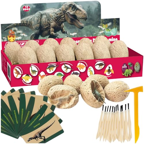 Dinosaurier Eier Ausgrabungsset für Kinder mit 12 Dino-Figuren Archäologie Spielzeug 24982 Dinosaurier Eier Ausgrabungsset für Kinder mit 12 Dino-Figuren Archäologie Spielzeug 24982 von KRUZZEL