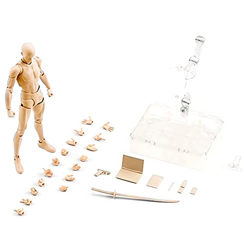 KSHSAA Body Kun Figur Body Chan Puppe, Actionfiguren Zeichnung Schaufensterpuppe, Kunstfigur Modell SHF Figur Zeichnung Figurenmodelle für Künstler Sammlerspielzeug von KSHSAA