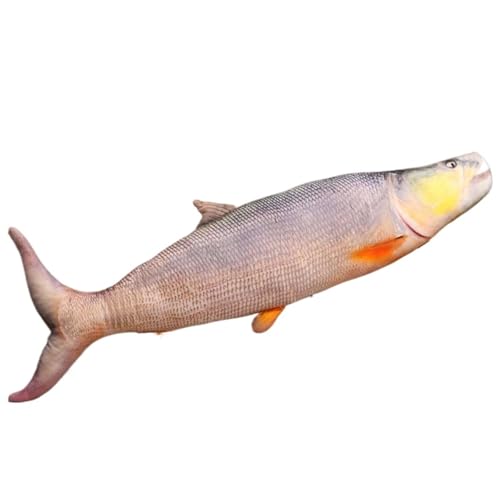 KUKUShining Fisch Plüschtier, Weich Gefülltes Dekoratives Schlafkissen Süßes Plüschkissen Als Geschenk for Kinder Geburtstag Erwachsene(White,80cm/31.5in) von KUKUShining