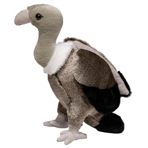 KUKUShining Geier Plüschtier, Kuschelweiche Stofftier Puppe Cartoon Vogel Pädagogisches Plüschtier Spielzeug Geschenke Für Kinder Jugendliche(25cm/9.8in) von KUKUShining