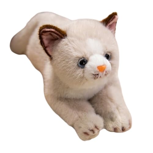 KUKUShining Katzen Plüschtier, Süße Stofftierpuppen Kätzchen Weiches Kawaii-Plüschtier Körperkissen for Geschenke for Frauen Mädchen Kinder(Beige) von KUKUShining