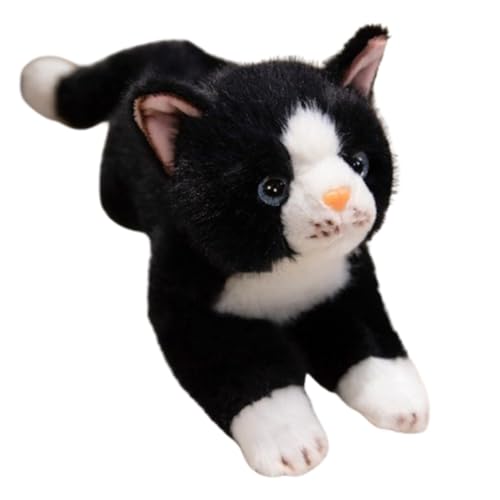 KUKUShining Katzen Plüschtier, Süße Stofftierpuppen Kätzchen Weiches Kawaii-Plüschtier Körperkissen for Geschenke for Frauen Mädchen Kinder(Black) von KUKUShining