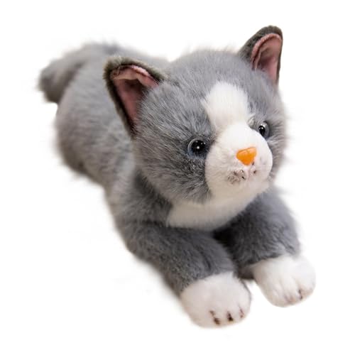 KUKUShining Katzen Plüschtier, Süße Stofftierpuppen Kätzchen Weiches Kawaii-Plüschtier Körperkissen for Geschenke for Frauen Mädchen Kinder(Gray) von KUKUShining