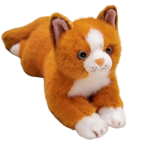 KUKUShining Katzen Plüschtier, Süße Stofftierpuppen Kätzchen Weiches Kawaii-Plüschtier Körperkissen for Geschenke for Frauen Mädchen Kinder(Orange) von KUKUShining