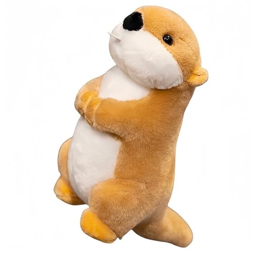 KUKUShining Murmeltier Plüschtier, Realistisch Weich Kuschelig Stofftier Puppe Simulation Plüschtier Für Kinder Mädchen Geburtstagsgeschenke von KUKUShining