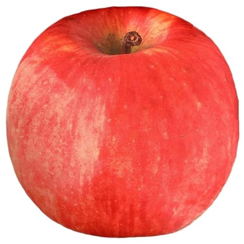 KUKUShining Obst Plüsch, Gefälschte Früchte Künstliches Apfelkissen Wassermelonen Dekokissen Plüsch Spielzeug Für Die Küchendekoration(Apple) von KUKUShining