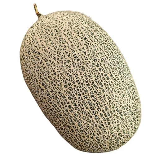 KUKUShining Obst Plüsch, Gefälschte Früchte Künstliches Apfelkissen Wassermelonen Dekokissen Plüsch Spielzeug Für Die Küchendekoration(Cantaloupe) von KUKUShining