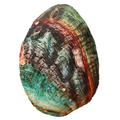 KUKUShining Plüschtier Mit Meereslebewesen, Weiche Muschel Kuschelige Muschel Gefülltes Plüsch Austernkissen Abalone Seestern Sandschnecke Als Geschenk(Abalone) von KUKUShining