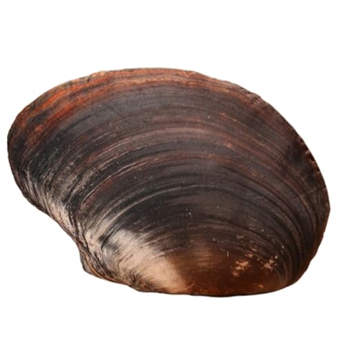 KUKUShining Plüschtier Mit Meereslebewesen, Weiche Muschel Kuschelige Muschel Gefülltes Plüsch Austernkissen Abalone Seestern Sandschnecke Als Geschenk(Mussel) von KUKUShining