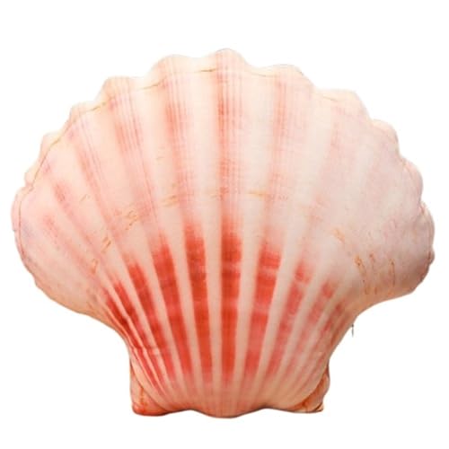 KUKUShining Plüschtier Mit Meereslebewesen, Weiche Muschel Kuschelige Muschel Gefülltes Plüsch Austernkissen Abalone Seestern Sandschnecke Als Geschenk(Shell) von KUKUShining