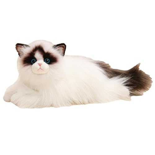 KUKUShining Ragdoll Katze Plüsch, Stofftier Weiches Kuscheliges Kätzchen Puppen Plüschtier Haustiere Flauschiges Plüschs Pielzeug Für Kinder Mädchen(White) von KUKUShining