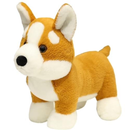 KUKUShining Süßes Hundeplüschtier, Weiche Stofftiere Puppe Walisischer Pembroke Corgi Welpe Kuschelkissen Plüschtier for Jungen Und Mädchen von KUKUShining
