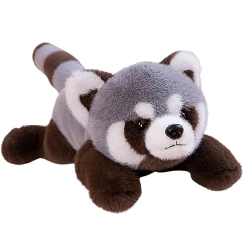 KUKUShining Waschbär Plüschtier, Roter Panda Kuscheltier Weiches Spielzeug Realistisch Süße Babys Für Kinder Geburtstagsgeschenk Dekoration(Gray,80cm/31.5in) von KUKUShining